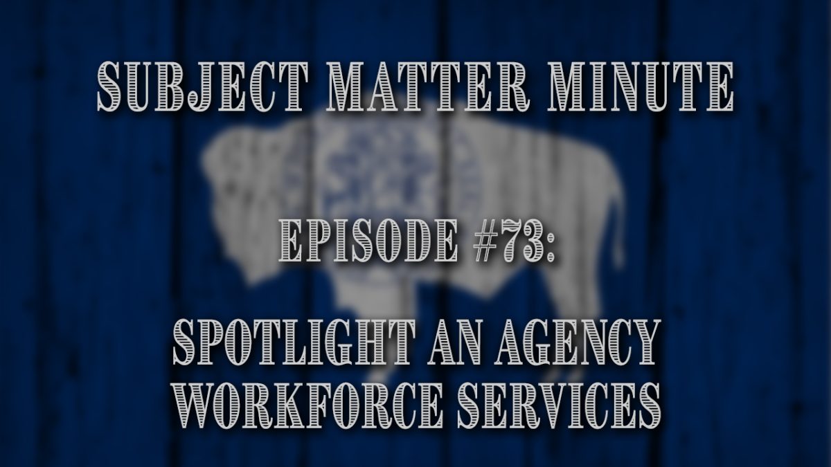 Subject Matter Minute, Episode #73 – Spotlight An Agency – Workforce Services